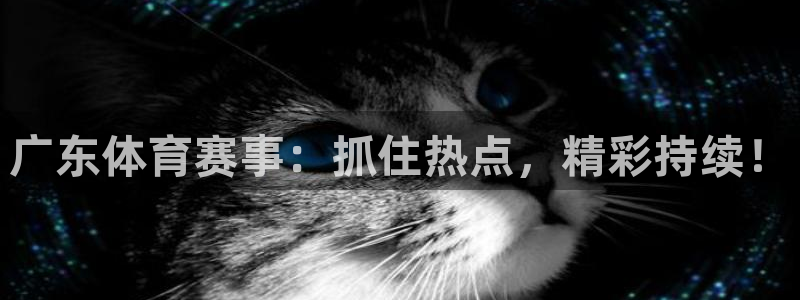 24直播网篮球免费直播：广东体育赛事：抓住热点，精彩持续！
