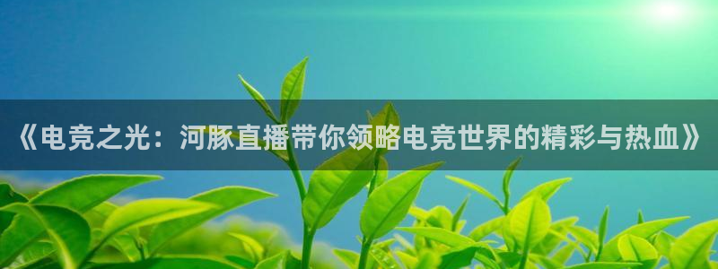 nba24直播：《电竞之光：河豚直播带你领略电竞世界的精彩与热血》