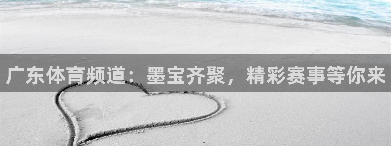nba在线直播免费观看直播24直播网：广东体育频道：墨宝齐聚，精彩赛事等你来
