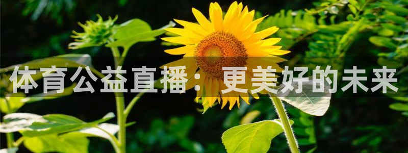 24足球直播网24直播吧：体育公益直播：更美好的未来