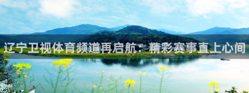 24直播网源码：辽宁卫视体育频道再启航：精彩赛事直上心间