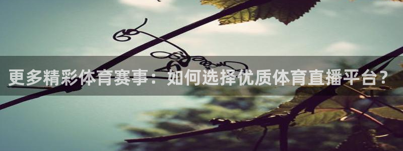 体育直播24直播网：更多精彩体育赛事：如何选择优质体育直播平台？