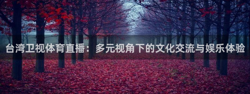 cba直播24直播：台湾卫视体育直播：多元视角下的文化交流与娱乐体验