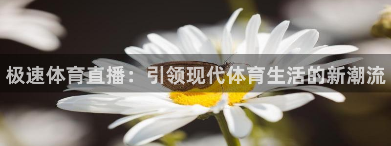 24直播免费足球直播直播：极速体育直播：引领现代体育生活的新潮流