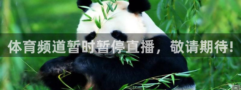 24直播网下载：体育频道暂时暂停直播，敬请期待!