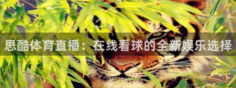24直播网篮球免费直播回放：思酷体育直播：在线看球的全新娱乐选择