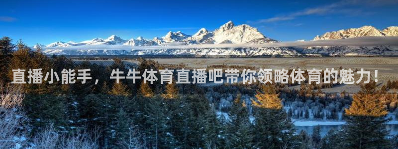 24直播网体育新年放送7zg.立即打开.org：直播小能手，牛牛体育直播吧带你领略体育的魅力！